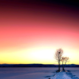 신성한 자장가 (꿈길에서)