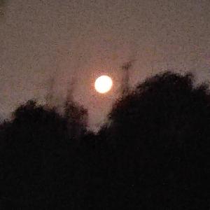 最美好的时光（0.8x）