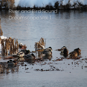 Wandering Hummingbird