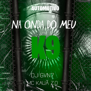 Automotivo na onda do meu k9