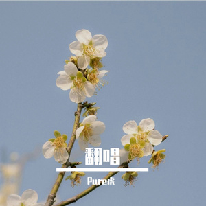 黑刺猬 （Cover 二把刀）