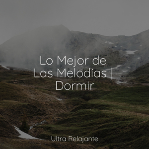 Rocío Sobre El Musgo