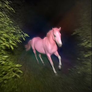 W.I.W （Prod by EVOMUSIC）