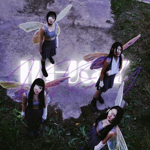 건물 사이에 피어난 장미 (Rose Blossom) (cover H1-KEY)