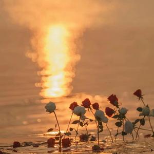 纯音乐（夏天的风景）