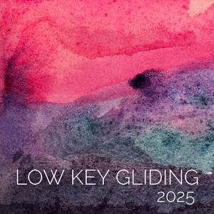 Low Key Gliding 2025