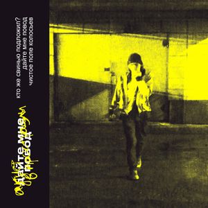 чистое поле колосьев