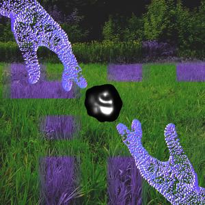 String Figures/Never Trust a Hoopoe, Pt. 1