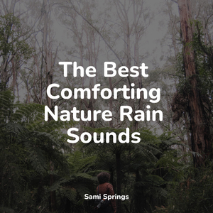 Wind, Strong, Forest, Light Debris, Leaves, Rain