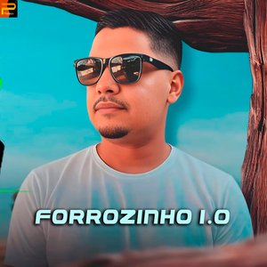 Forrozinho da Putaria