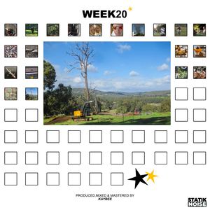 WEEK18