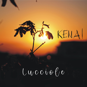 Lucciole