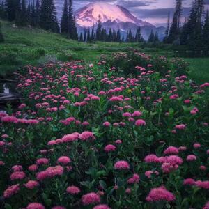 回到17岁（古筝曲）