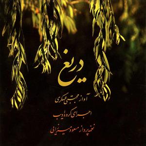 Darigh (feat. Masoud Mirzaei)