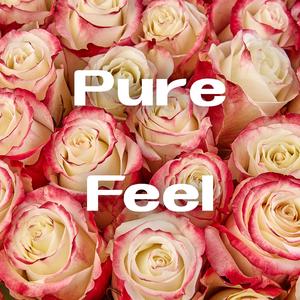 桜の木下でまた君に恋をする