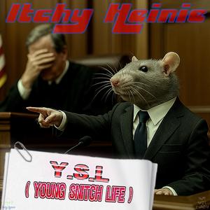 Y.S.L (Young Snitch Life)