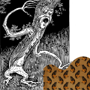 Seaglass Saint Lucia