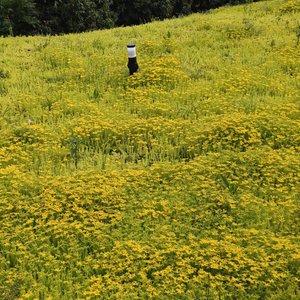 爱自己是终生浪漫的开始