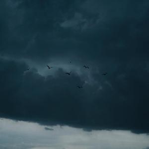 Demo 1