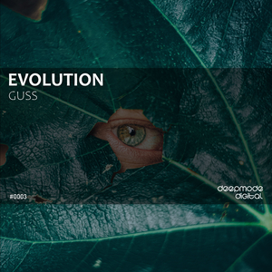 Wild N' Free (Original Mix)