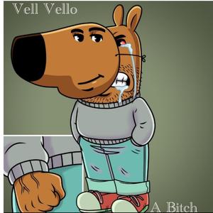 A Bitch