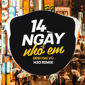14 Ngày Nhớ Em (Remix Vinahouse)