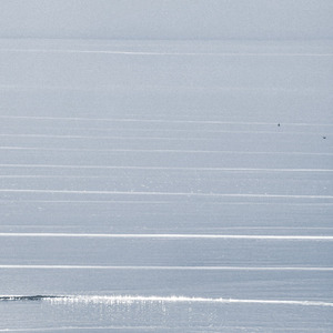 Currents