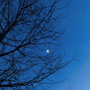 梦里面（PROD BY Lv9）