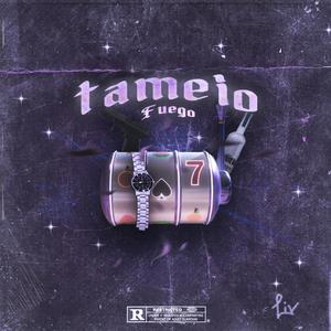 TAMEIO