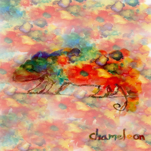 카멜레온