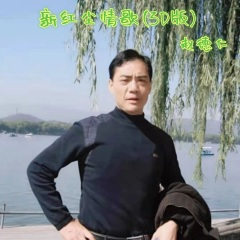 新红尘情歌 (3D版)