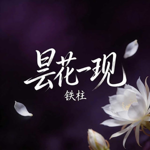 昙花一现