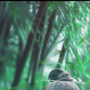 亲人的质疑