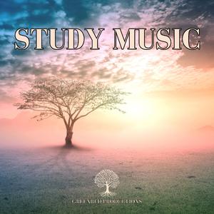 Background Music for Studying and Productivity