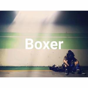 Boxer