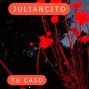 Tu caso