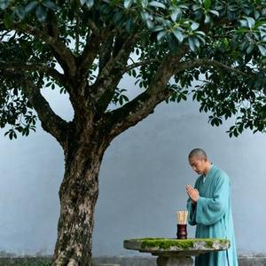 想去菩提树下求签 (Cover 南江月)