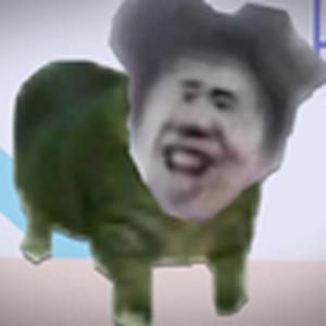 旋转梅狸猫（小黑子）