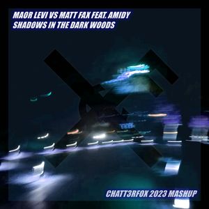 Shadows In The Dark Woods (Chatt3rfox 2023 Mashup)