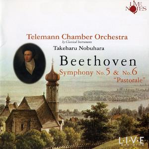Beethoven Symphony No.6 Op.68 "Patorale" V.Allegretto
