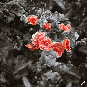 Don′t tryna be my love (Art. $AIL (세일)) (Feat. H:SEAN)