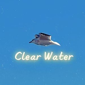 Clear Water Prod By REEBX