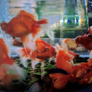 丸ノ内サディスティック