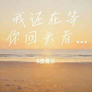 我还在等你回头看一眼