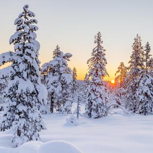 凍てつく空に祈る