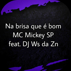 Na Brisa Que é Bom (feat. Dj Ws da ZNZ)