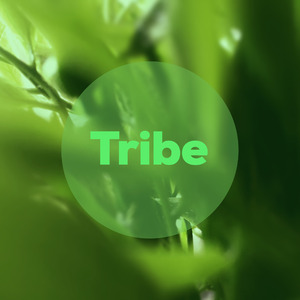Tribe