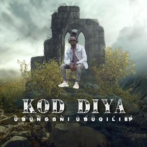 Izikhali (Radio edit)