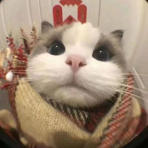 Fine乐团-王再冉（王再冉流行萨克斯）