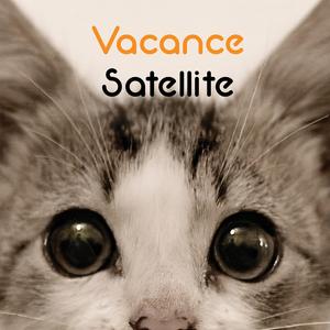 Satellite